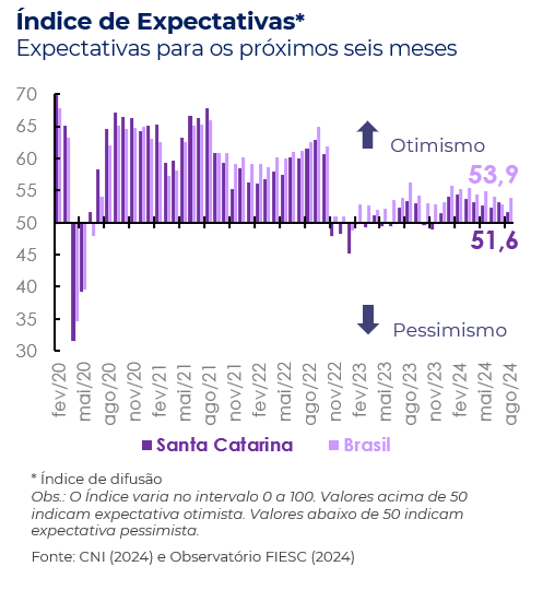 ICEI Expectativas